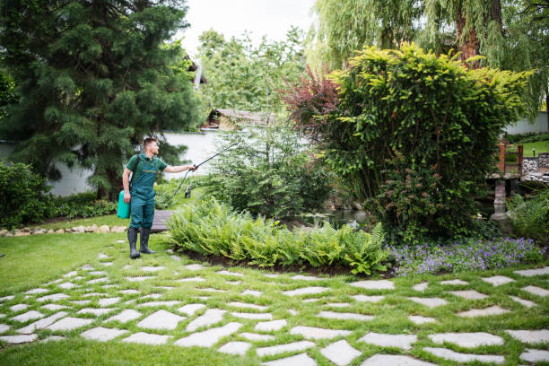 Best Local Pest Control Services  in Zephyrhills West, FL