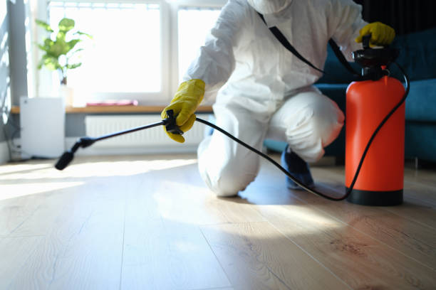 Flea Control Services in Zephyrhills West, FL