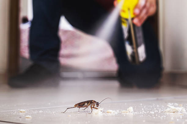 Best Residential Pest Control  in Zephyrhills West, FL